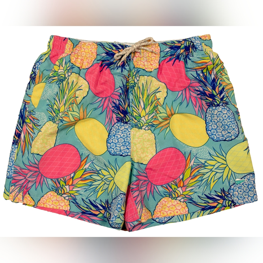 New southern lure Colorful Pineapple Print Shorts